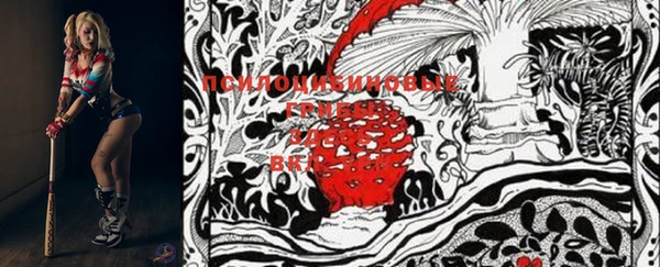 ешки Бронницы