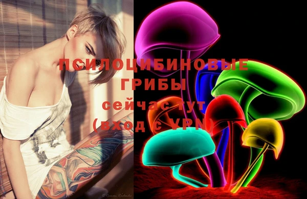 ешки Бронницы