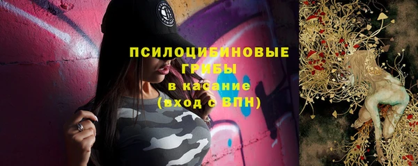 хмурый Гусиноозёрск