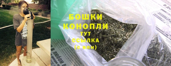 ешки Бронницы
