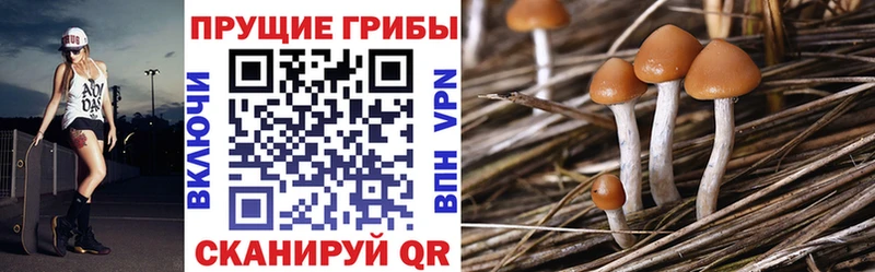 Галлюциногенные грибы MAGIC MUSHROOMS  Волгореченск 